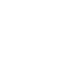 DSW Logo 1