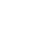 CZ Logo