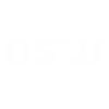 DSW Logo 1